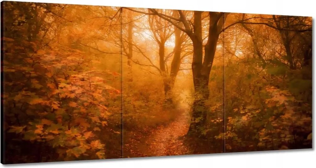 Festmények 120x60 Tájkép Látvány