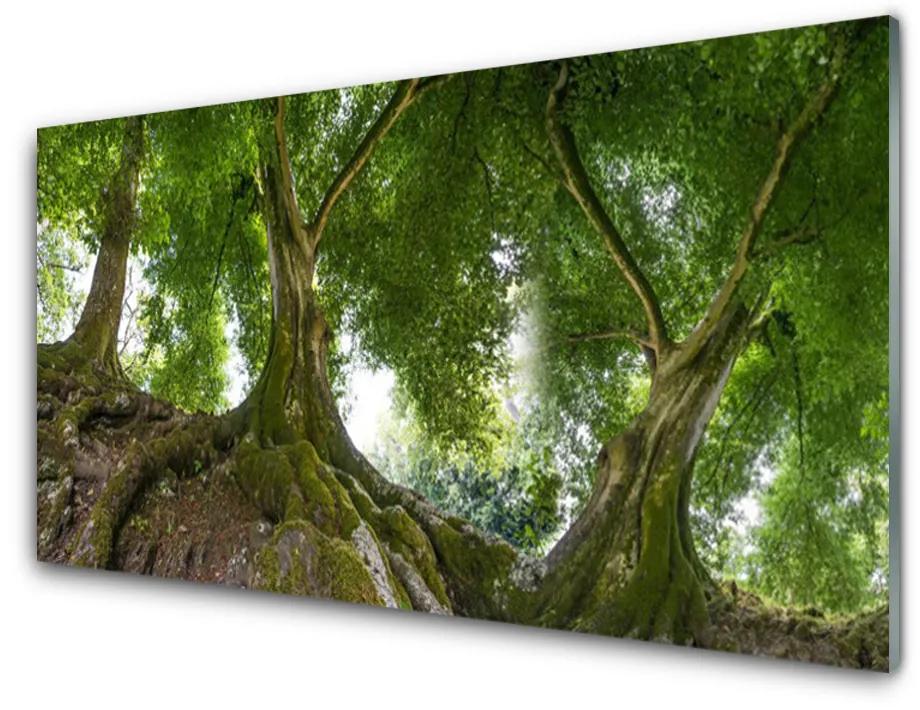 Fali üvegkép Plant fák természet 140x70 cm