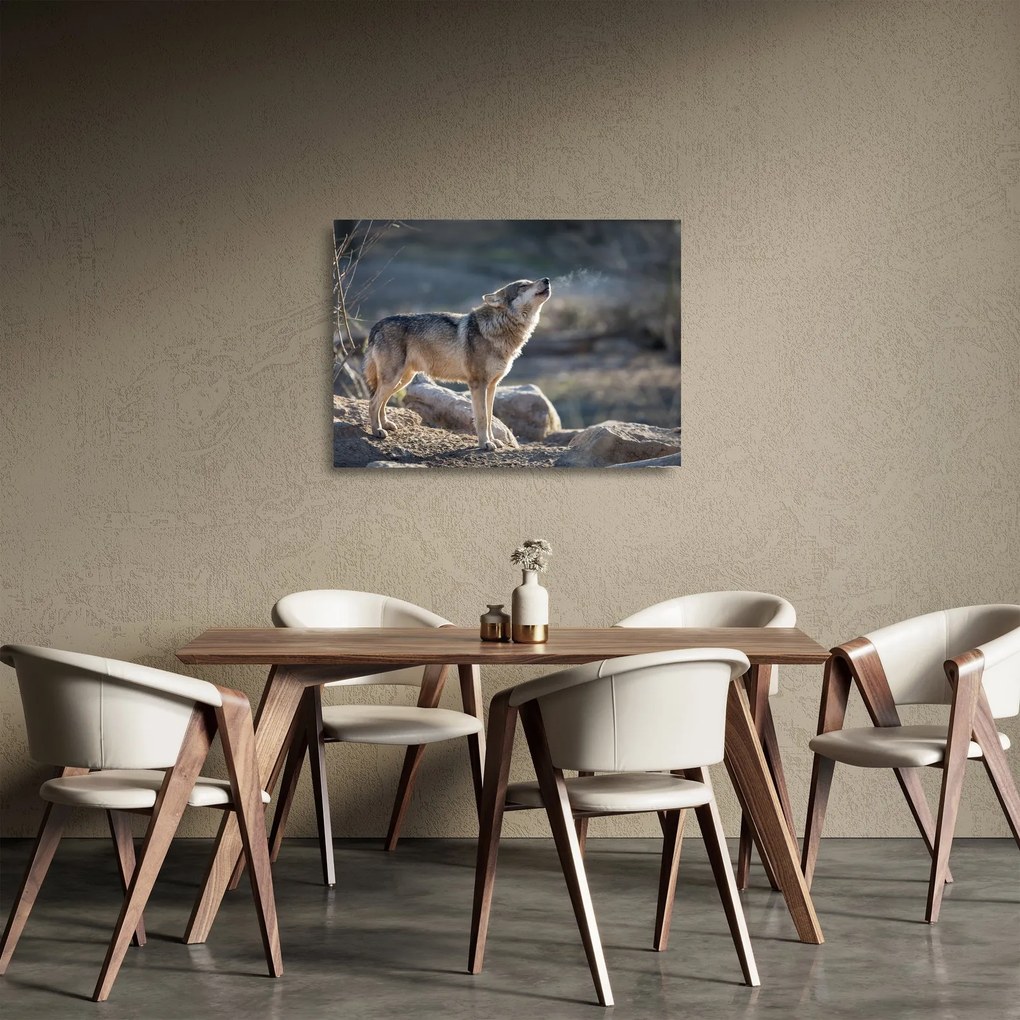 Üveg kép - Üvöltő farkas (70x50 cm)