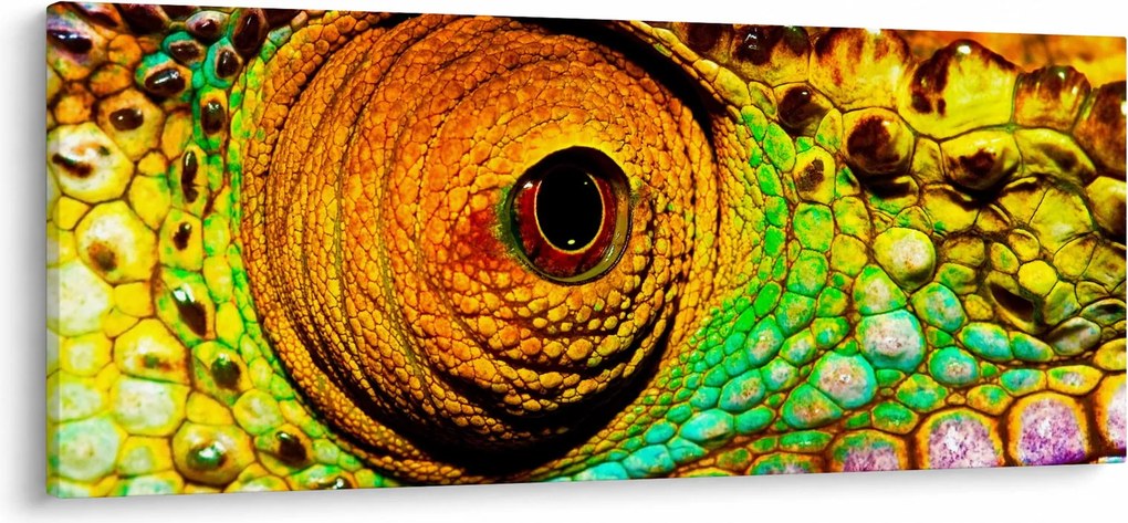 Kép - Kaméleon (120x50 cm)