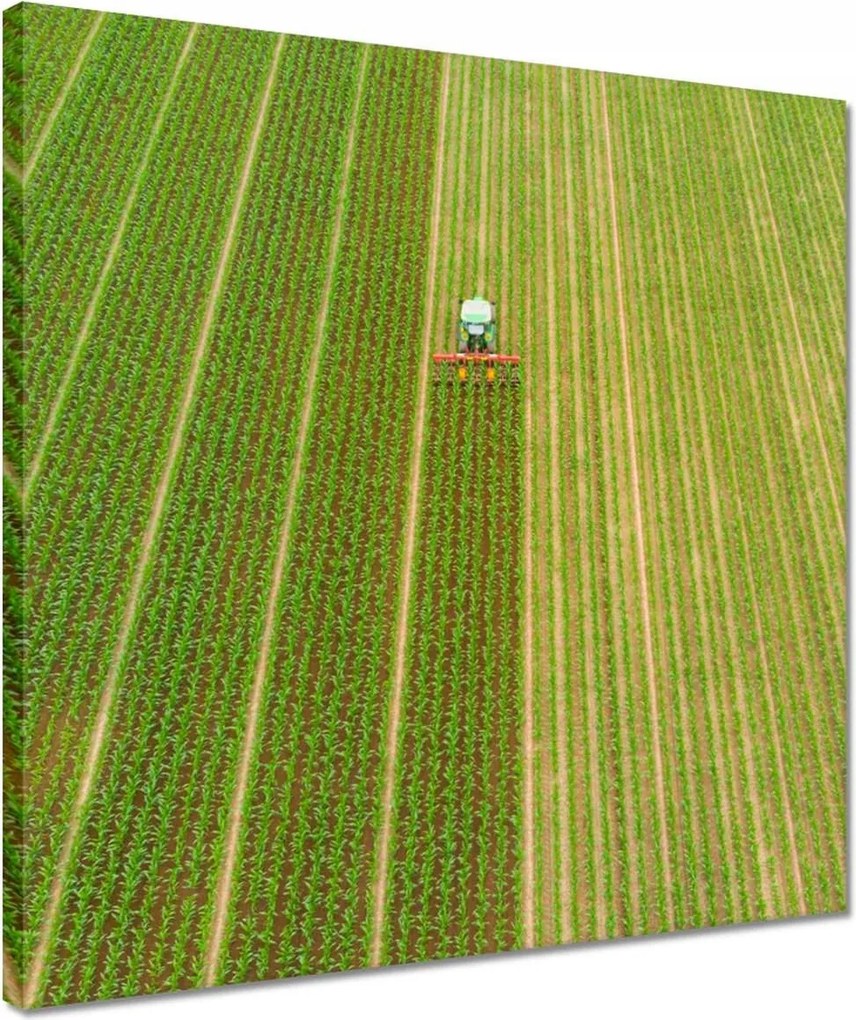 Vászonkép 40x40 Mezőgazdaság