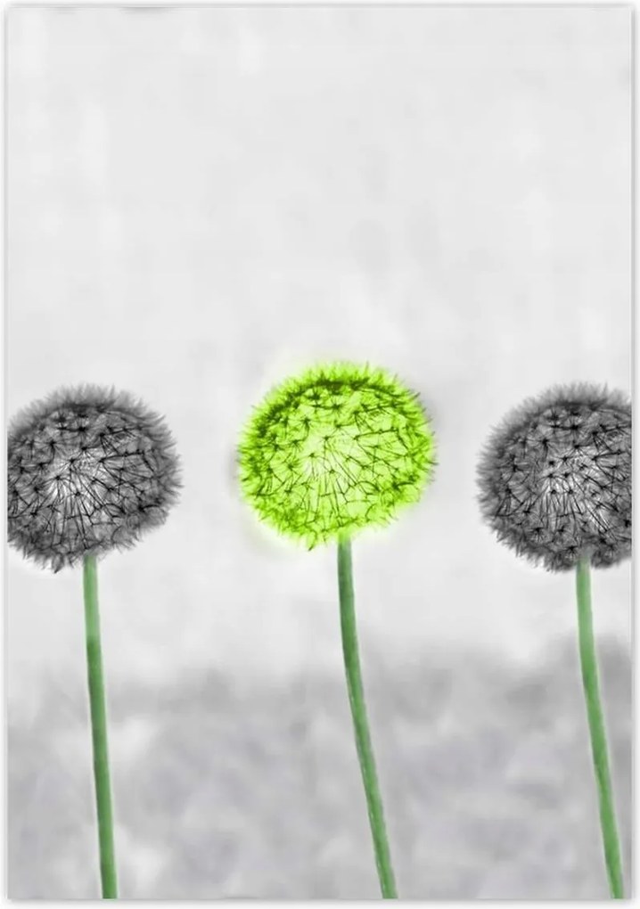 Poszterek 70x100 Lime közép