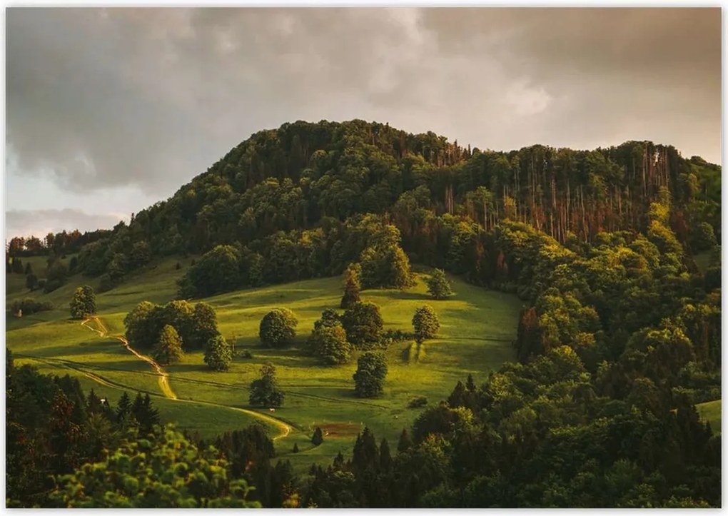 Poszterek 100x70 Tájkép Pieniny