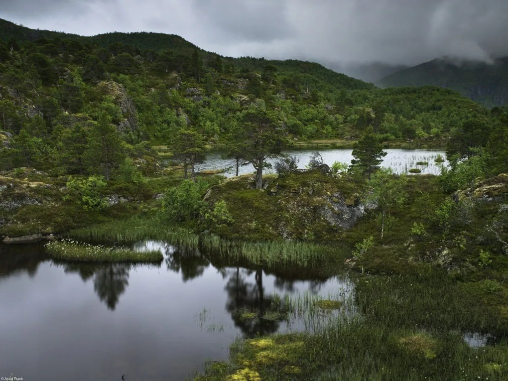 Poszter 40x30cm Norvég fjord 5, Assaf Frank