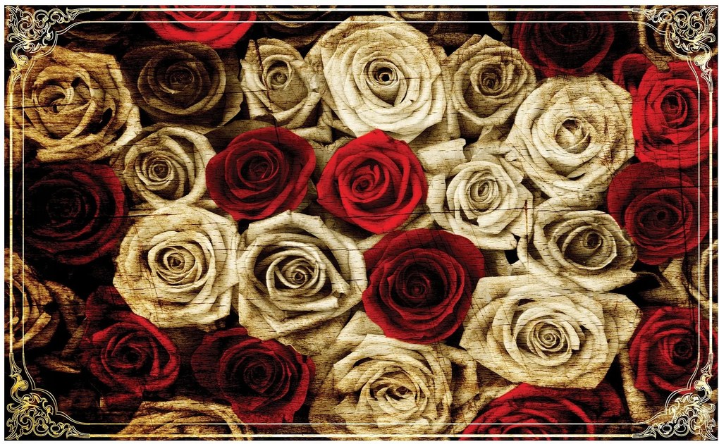 Fotótapéta rózsa virágok fotótapéta 208 x 146