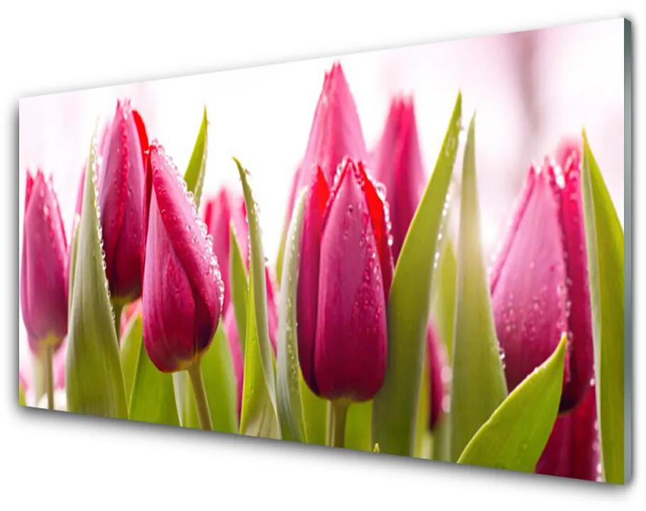 Üvegkép Tulipán virágok Plant 140x70 cm