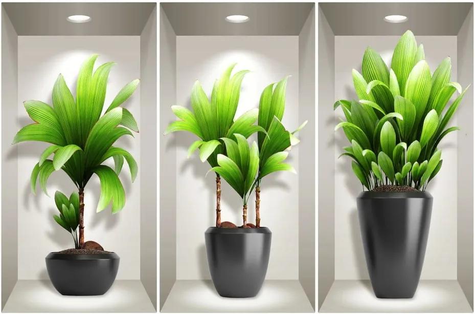 Exotic Plants 3 db-os 3D falmatrica szett - Ambiance