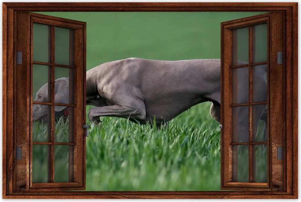 Poszterek 90x60 Vadászkutya akcióban