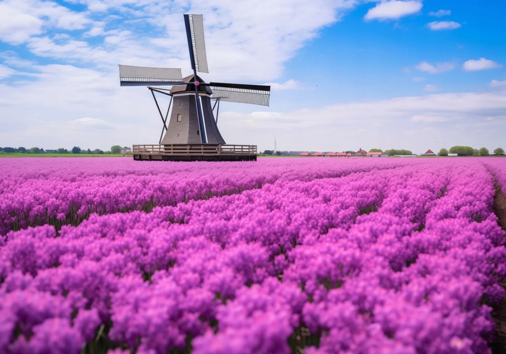 Poszter 100x70cm A holland szélmalom színei