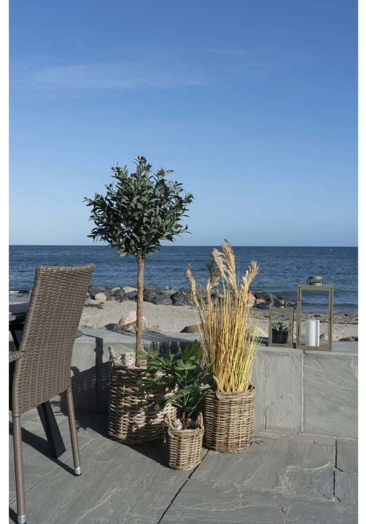 Sema kosarak, kubu rattan, natúr 3 db