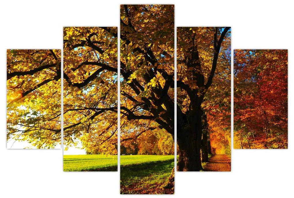 Az őszi kép (150x105 cm)