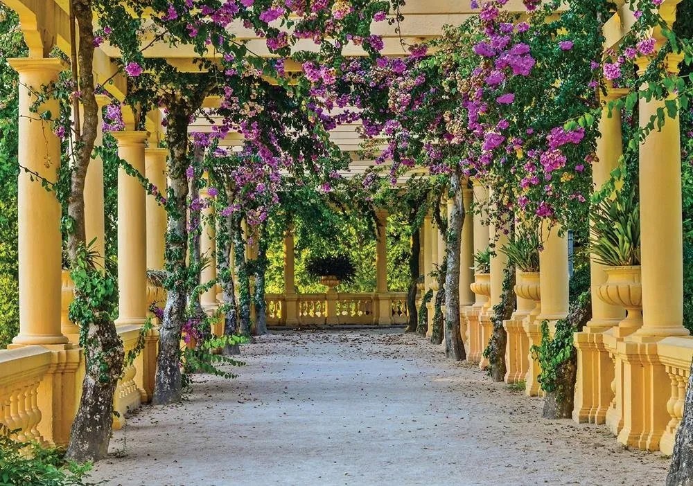 Fotótapéta Utca Sikátor Virágok Fotótapéta 208 x 146 10896VEXL