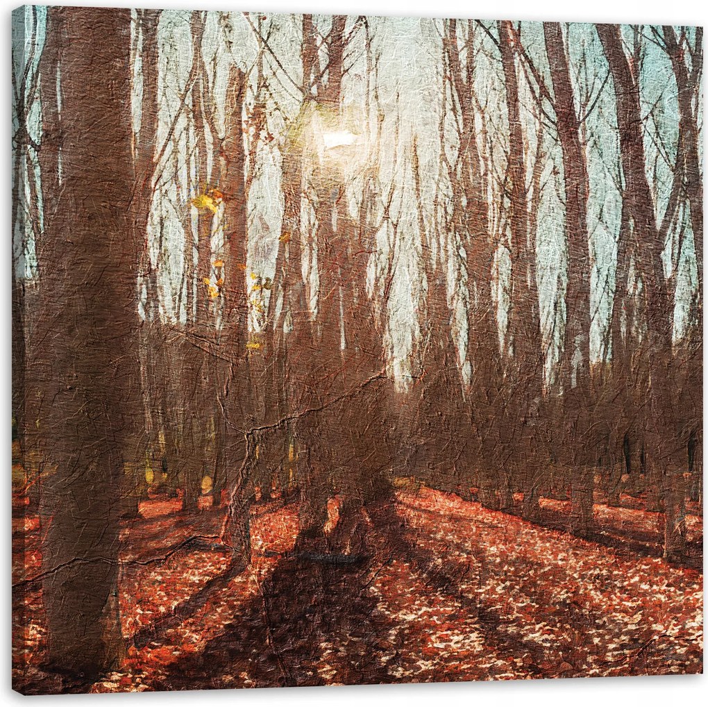 Vászonkép Erdő Ősz Levelek Színes Természet 50X50 cm