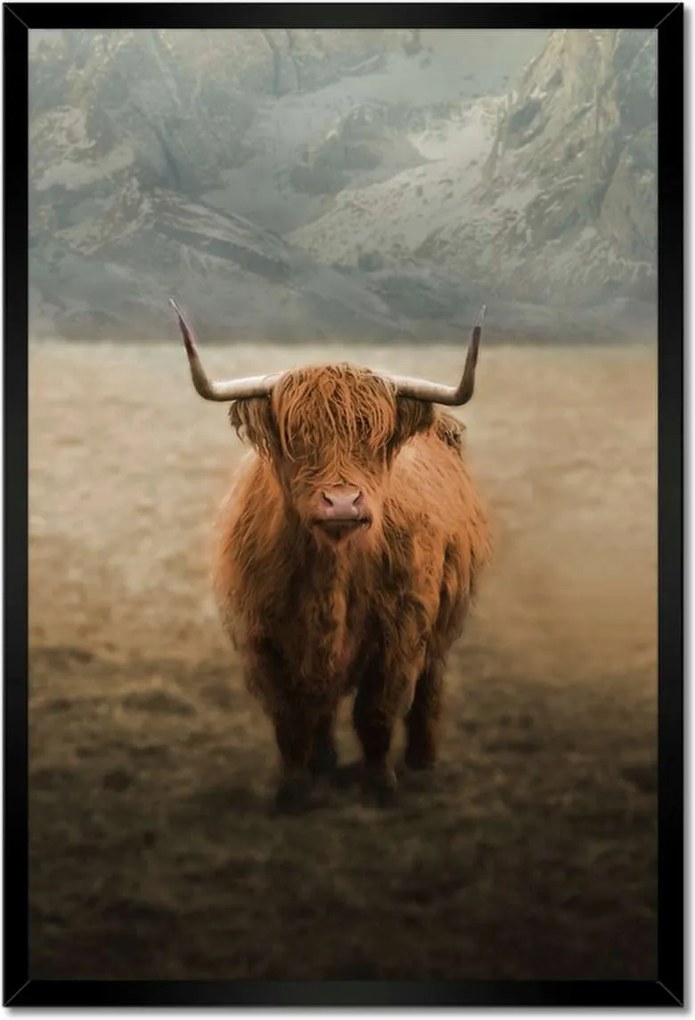 Poszterek keretben 40x60 Mint Szarvasmarha Szarvak