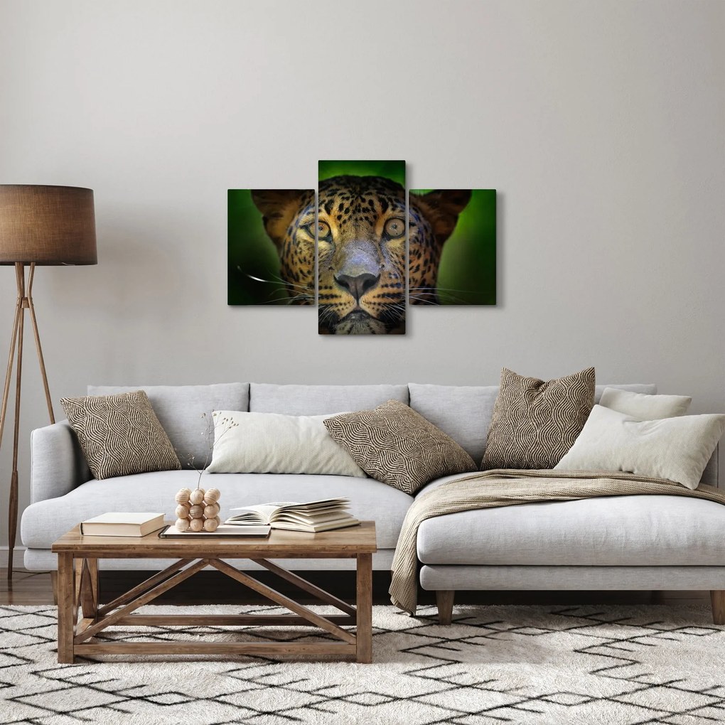 Kép - Leopárd portré, Sri Lanka (90x60 cm)