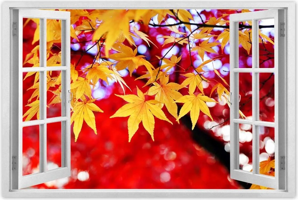 Poszter 60x40 Sárga őszi levél