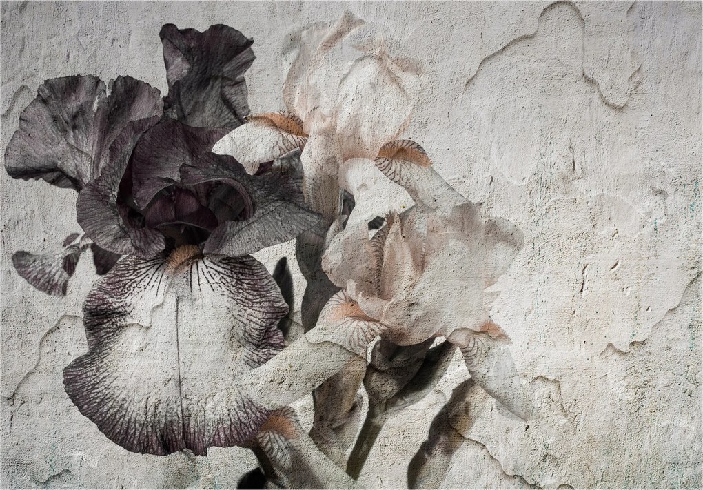 Flizelin fotótapéta Írisz textúra elegancia a nappaliba 416x290 +ragasztó