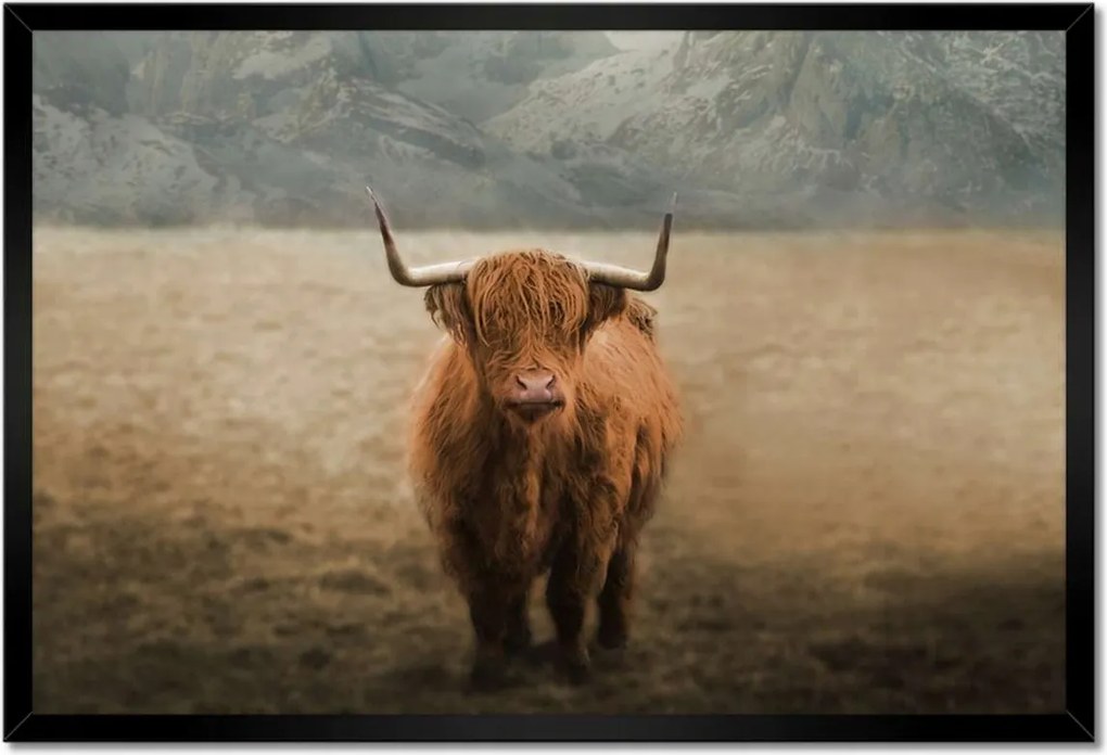 Poszterek keretben 60x40 Szarvasmarha szarvak