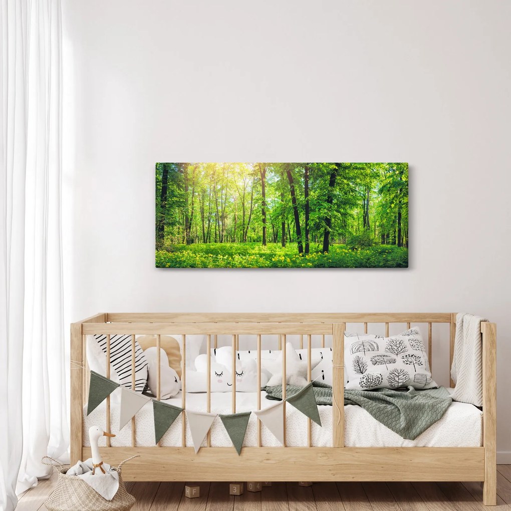 Kép - Tavaszi lomberdő (120x50 cm)