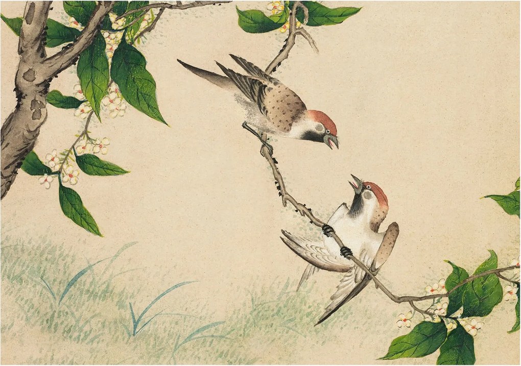 Flizelina Dekoratív Fotótapéta Hálószobába Klasszikus duó 208x146 Ragasztó