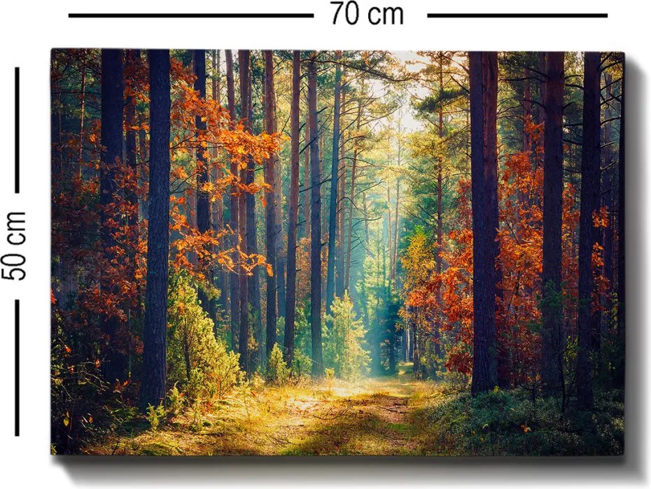 Kanvas vászonkép, 50×70 cm – TR529TCR1376