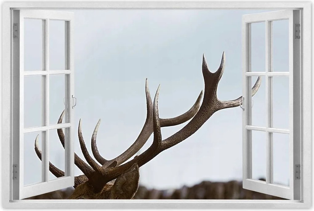 Poszterek 120x80 Szarvas felszarvazott