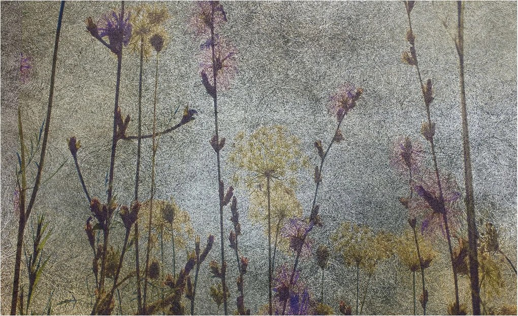 Fotótapéta Flizelin Tapéta Hálószoba és Nappali Mezei virágok 416x254