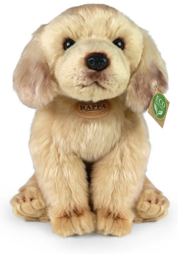 Rappa Plüss ülő labrador, 27 cm ECO-FRIENDLY
