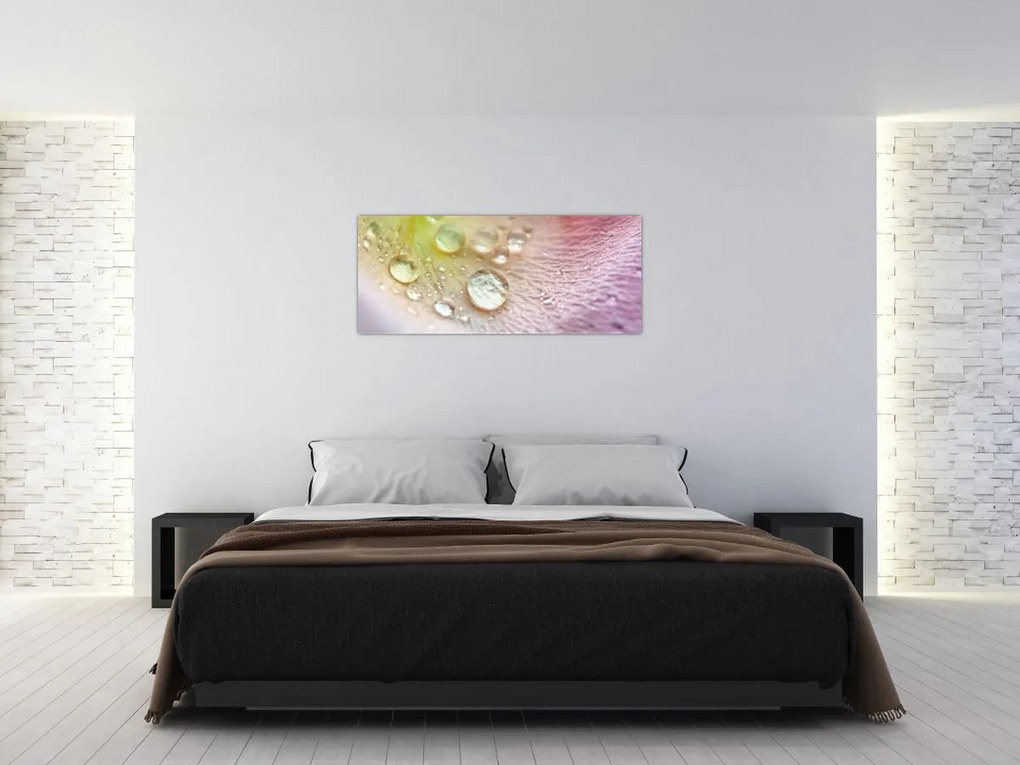 Kép - Harmatcseppek (120x50 cm)