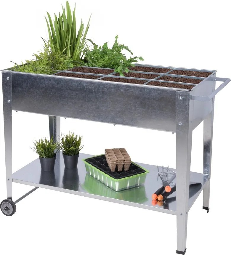 Magaságyás Mariegold – Garden Pleasure