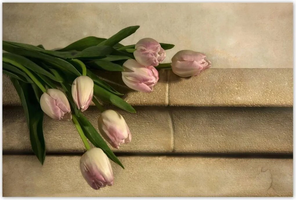 Poszterek 120x80 Rózsaszín tulipán csokor