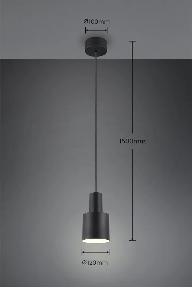 Fekete függőlámpa fém búrával ø 12 cm Agudo – Trio