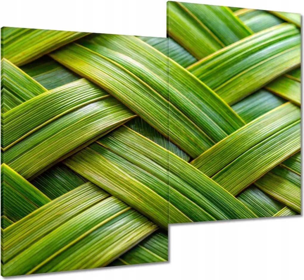 Vászonkép 80x70 Zöld fonott Zöld rattan fonott lemez