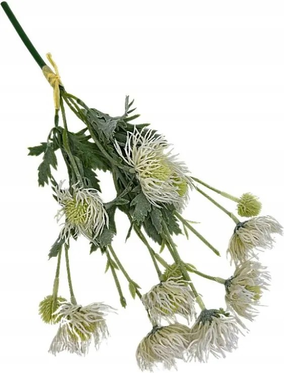 Bogáncs csokor bogáncs 40 cm krémzöld