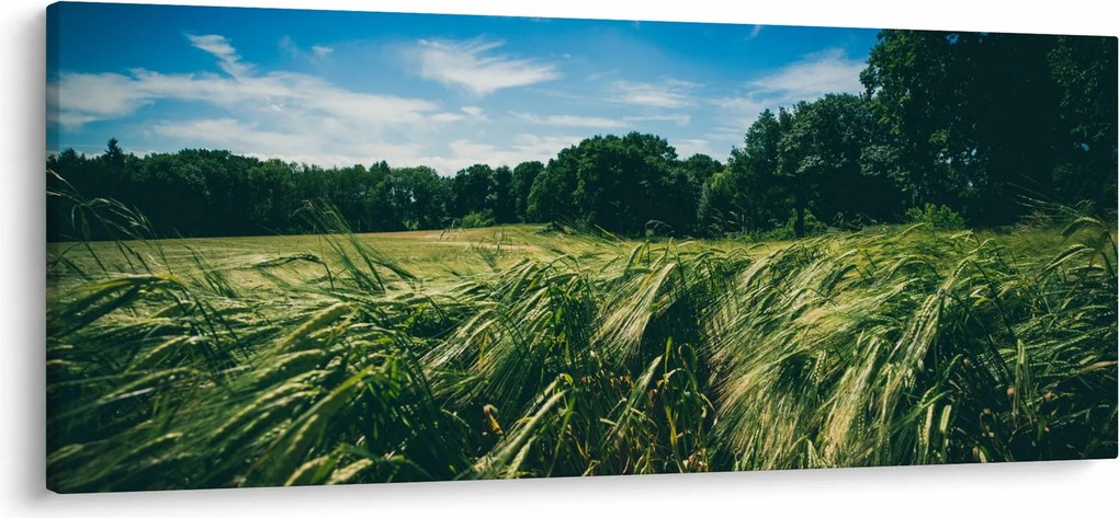 Rét és az erdő képe (120x50 cm)