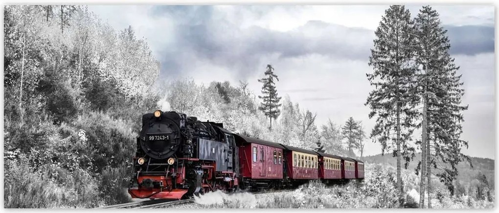 Fotótapéták 250x104 Vonat és téli aura
