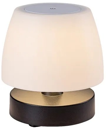 Rabalux 7040 - LED Dimmelhető asztali lámpa ODERA LED/3W/5V 2000 mAh IP44