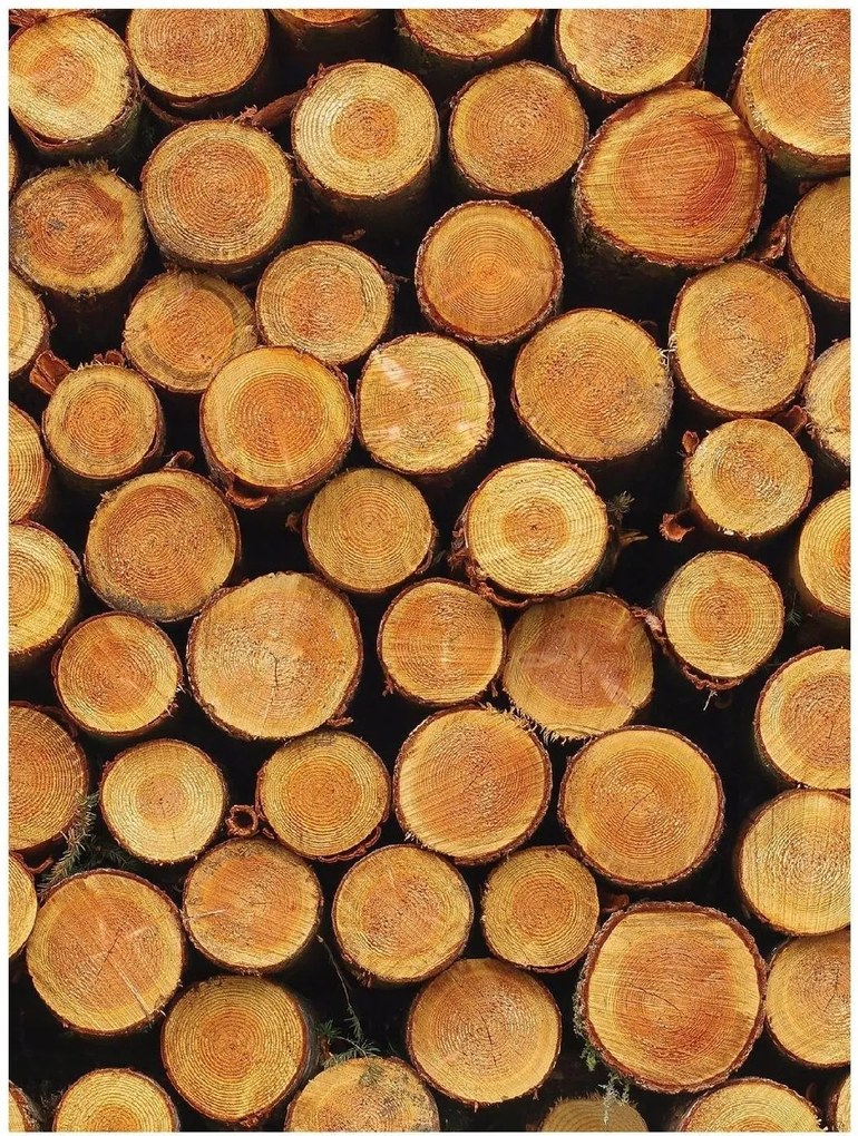 Fotótapéta Deszka Fa Optikai Utánzat 184x254