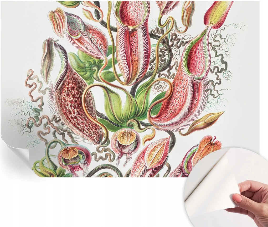 Öntapadós tapéta Divatos 3D fali ragasztó Növényi részletek 152x104 cm