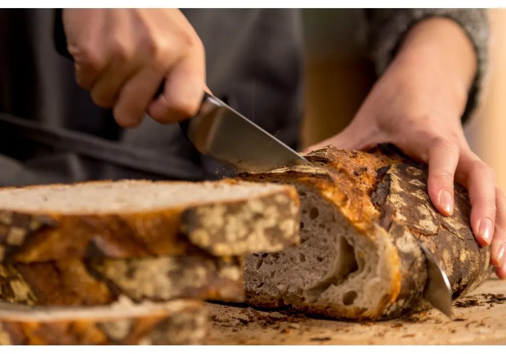 Rozsdamentes acél kés Ice Force – Tefal