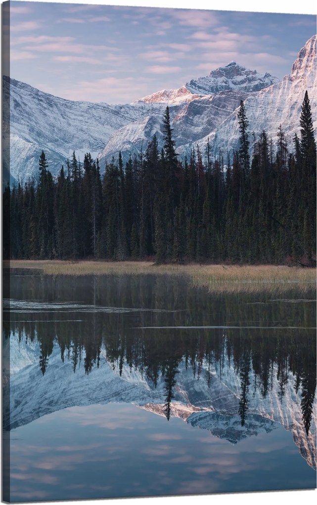 Vászonkép Tópart Víz Erdők Hó hegyek 50x80 cm