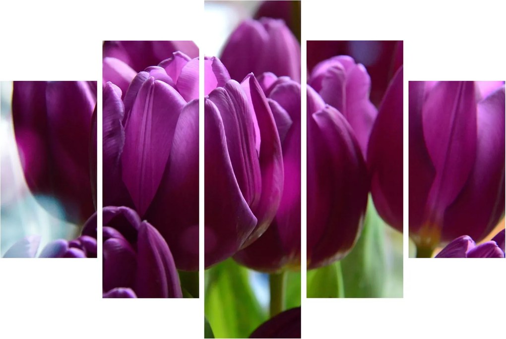 Tulipán képe (150x105 cm)