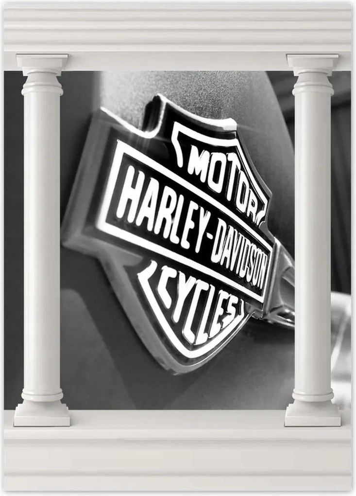 Poszterek 50x70 Harley Davidson logó