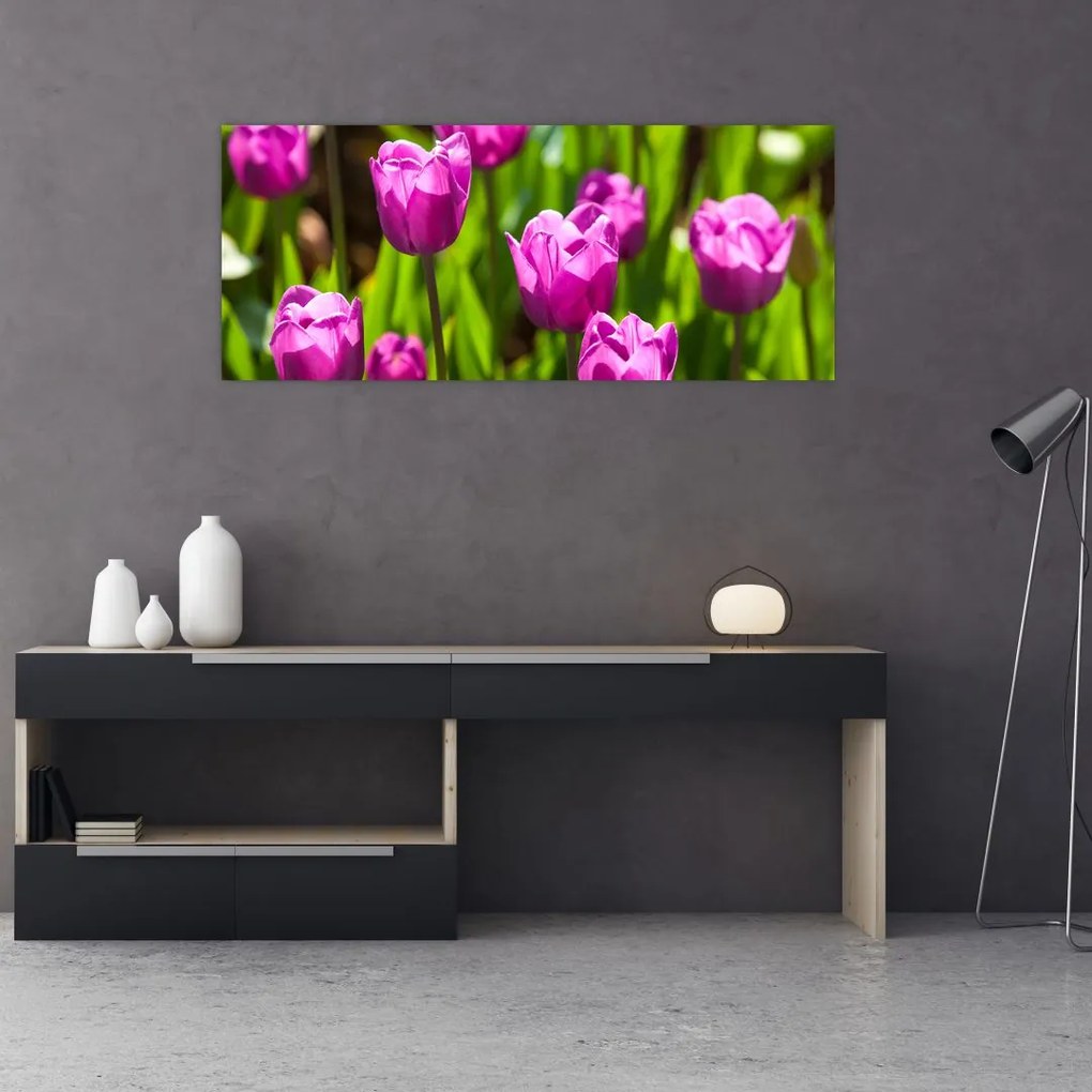 Tulipánok a réten képe (120x50 cm)