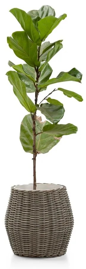Grande Fiore műrattan kerti kaspó - Bonami Essentials