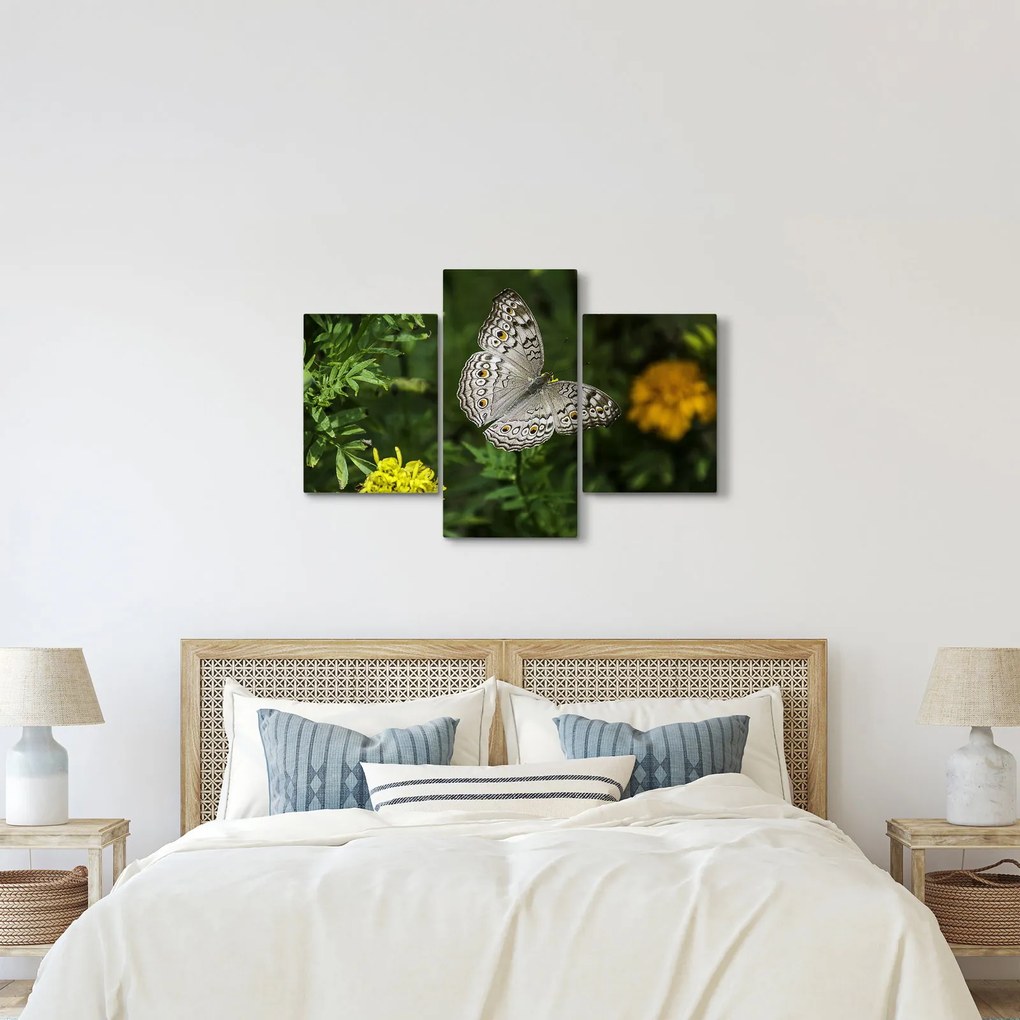 Kép - fehér pillangó (90x60 cm)