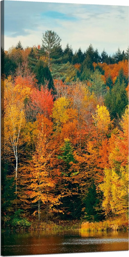 Vászonkép Színes Levelek Fák Ősz Természet 60x120 cm