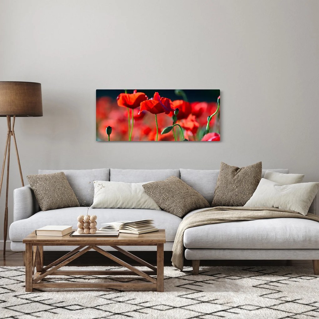 Kép - pipacsok (120x50 cm)