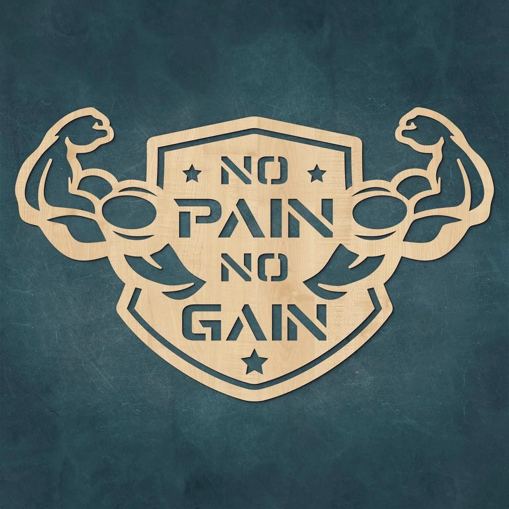 Motivációs kép - No Pain No Gain