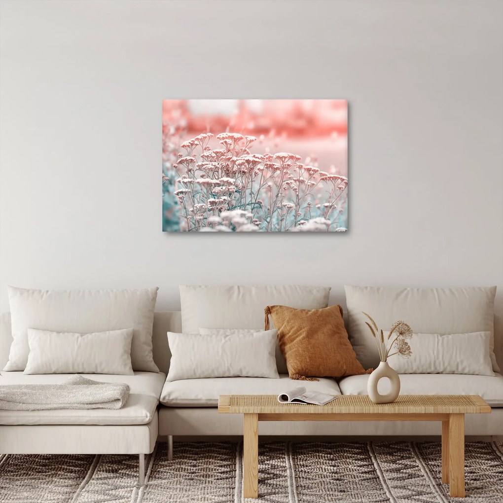 Kép - Réti virágok (70x50 cm)